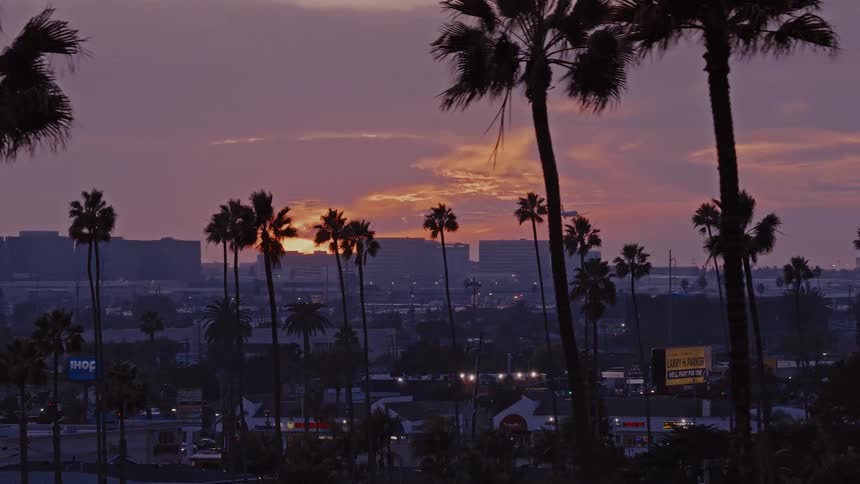 An airplane descends for a landing over a city skyline filled with palm trees during a purple and orange sunset