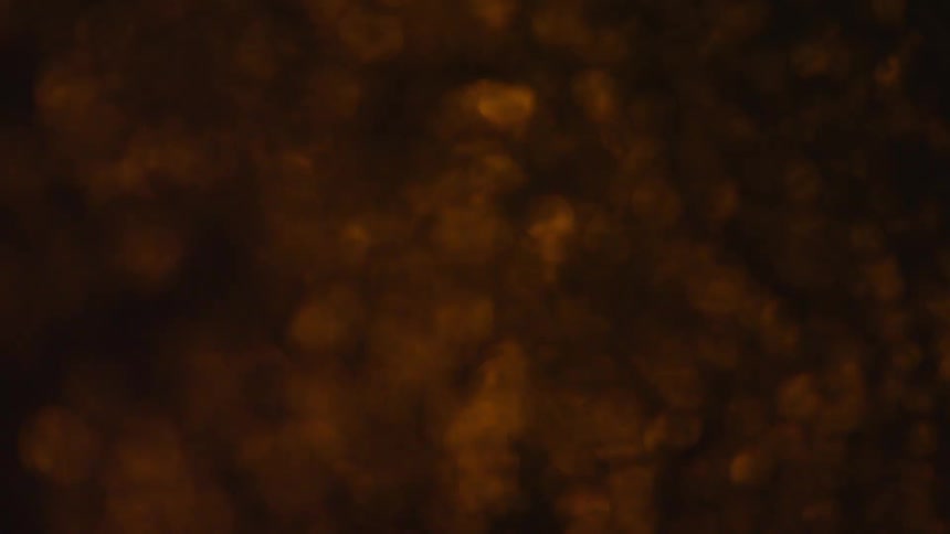Abstract texture with golden luminous specks distributed over a dark background
