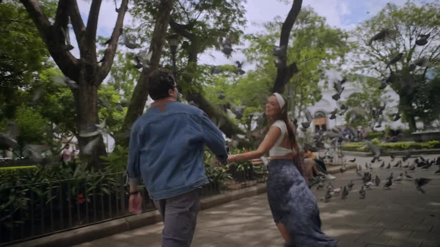 A couple walks hand in hand through a tree lined park with pigeons gathered on the ground nearby