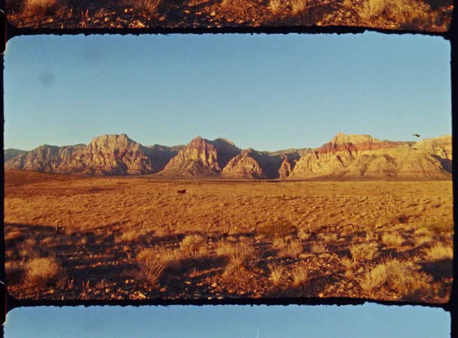 Desert landscape with sparse vegetation in the foreground and a rocky mountain range under a blue sky in the background