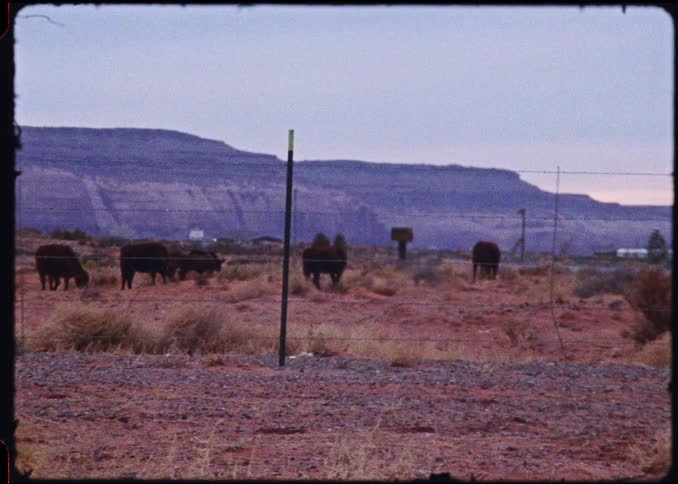 A view of the desert landscape
