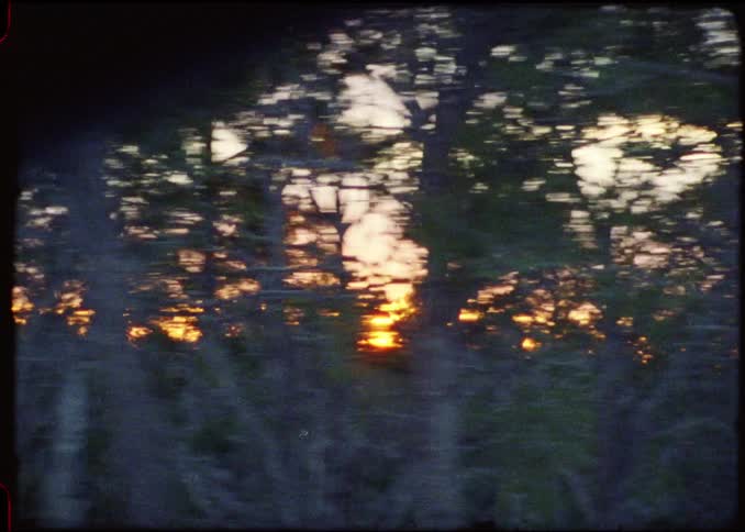 Vibrant orange sunlight flickers through the silhouettes of dark trees as the camera moves past a dense forest at dusk creating a rhythmic pattern of light against the fading sky