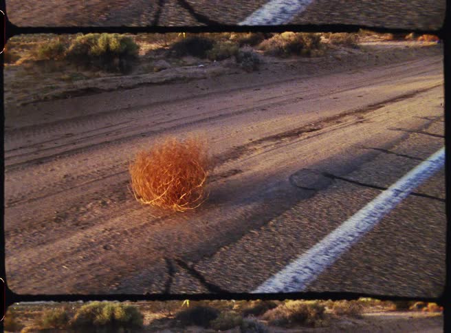 Dry tumbleweed rolling across a paved road in a desert area