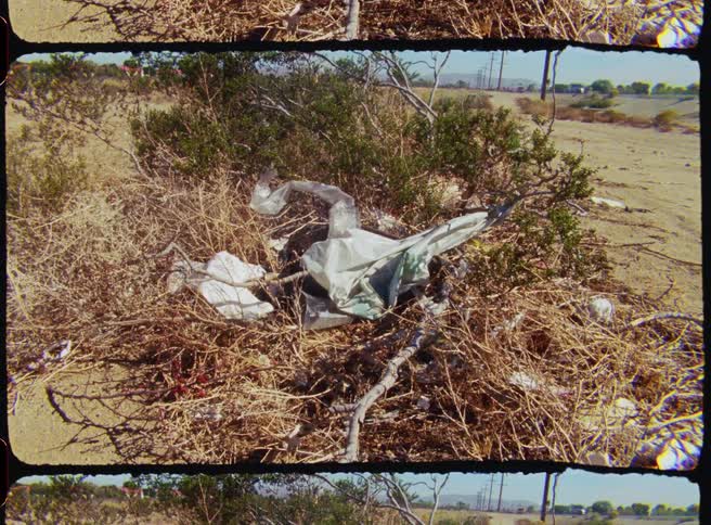 Plastic trash is tangled in a dry thorny bush in a desert landscape