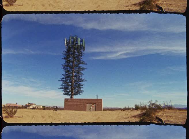 A view of a tree that is a cell phone towner outdoors in a desert area