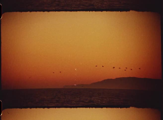 A flock of birds fly near an ocean coastline at sunset