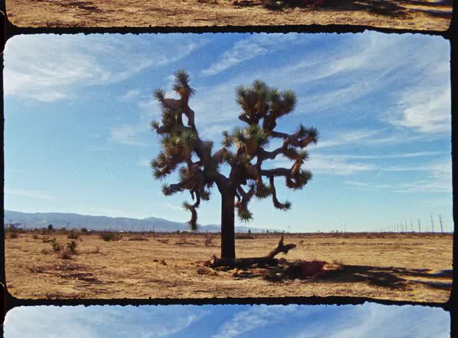 Lone tree in a desert landscape under a blue sky with scattered clouds