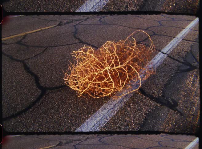 Tumble weed rolling down a desert highway