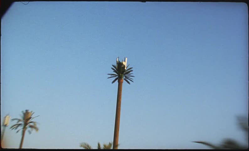This video features a cell phone tower designed to look like a palm tree against a clear blue sky the camera pans quickly past the structure capturing its artificial fronds and mounted antennas in a vintage grainy film style