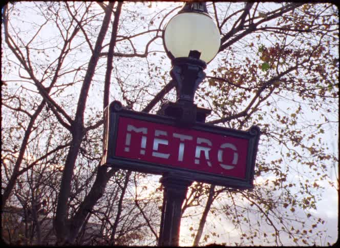 A road sign that reads metro topped with a lamp standing beneath a leafless tree in the countryside at midday