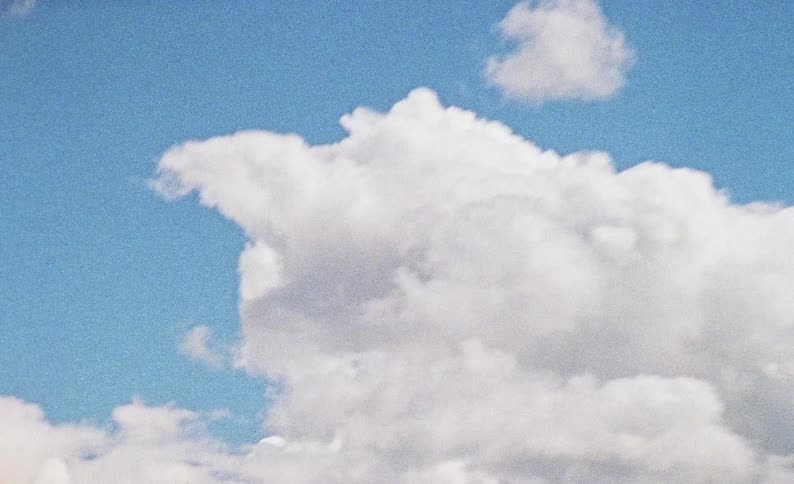 A bird flying across the sky at midday with white clouds spread throughout the sky