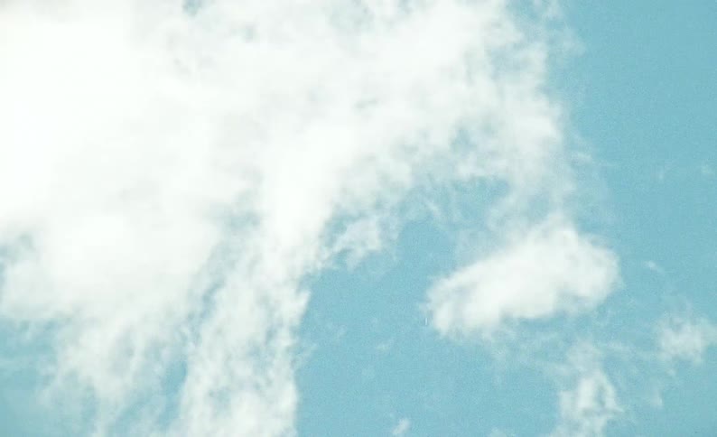 A view of the sky in a grassland area