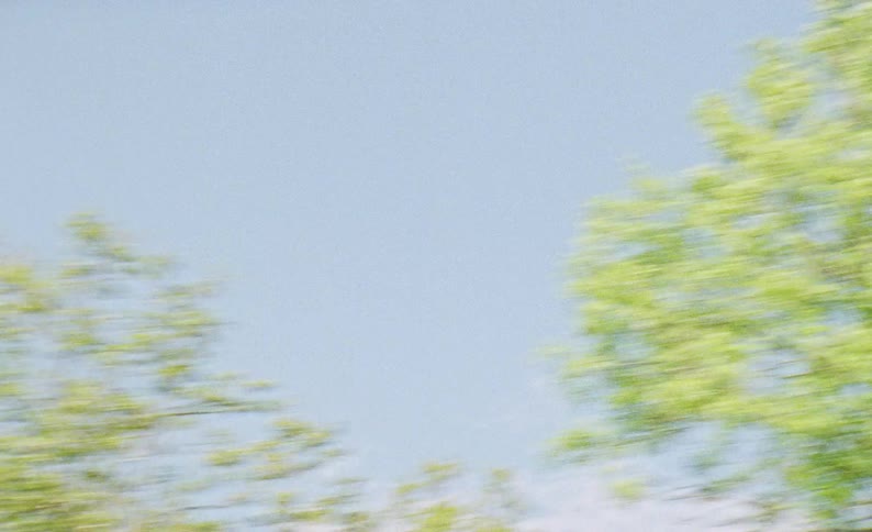 A view of some trees in a landscape