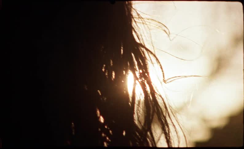 Silhouette of a persons hair in motion with the sea in the background