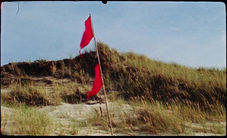 Two red flags on a grass filled beach