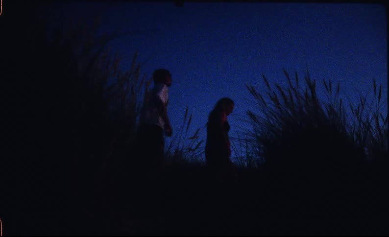 Children in silhouette walking through tall vegetation under a blue dusk sky