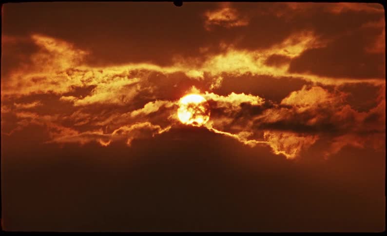 Sun on the sky surrounded by clouds with a bird flying in front of it outdoors during dusk or dawn