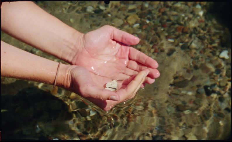 A person grabbing a butterfly out of water