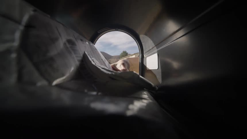 View from inside the mailbox of a person taking their mail