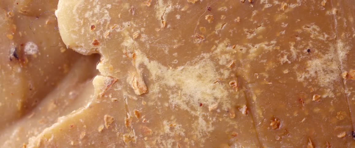 Closeup on the texture of a brown food