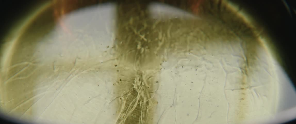 Translucent surface with visible fibers and particles in closeup