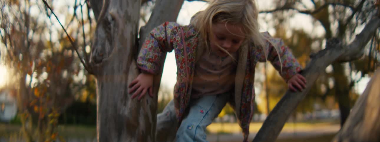 A young girl in a floral jacket and blue pants carefully navigates her way down between the thick branches of a large gum tree during the late afternoon