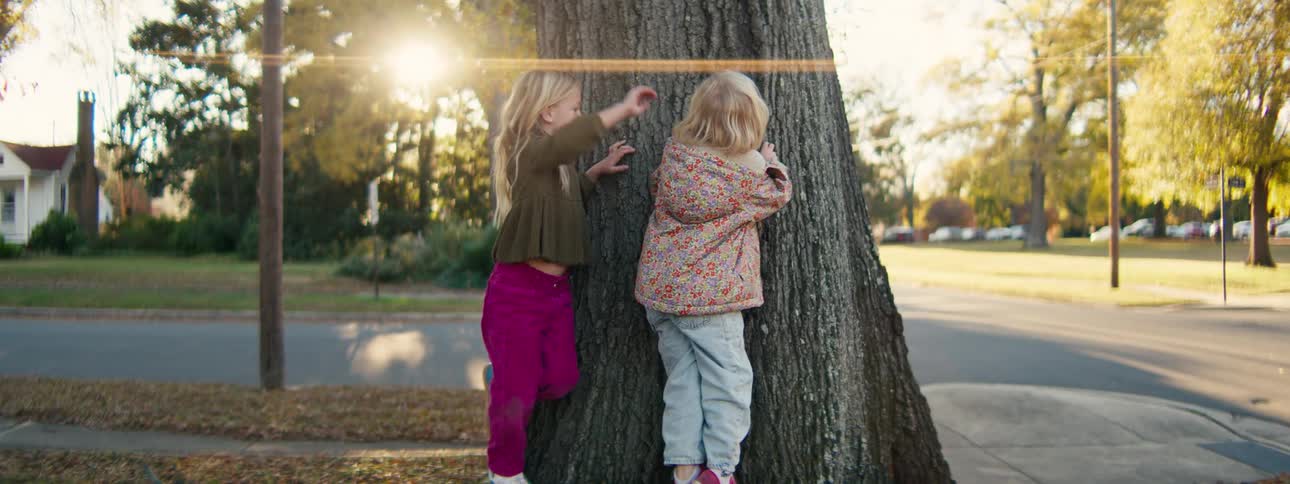 Two young girls play together by a large tree in a park laughing and hugging the thick trunk while the bright afternoon sun creates a warm lens flare in the background