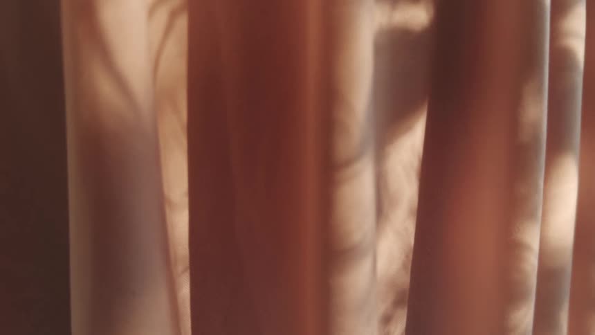 Golden sunlight filters through a window casting the swaying shadows of leaves onto the soft undulating folds of peachcolored curtains creating a serene and textured display of light and movement in a quiet room