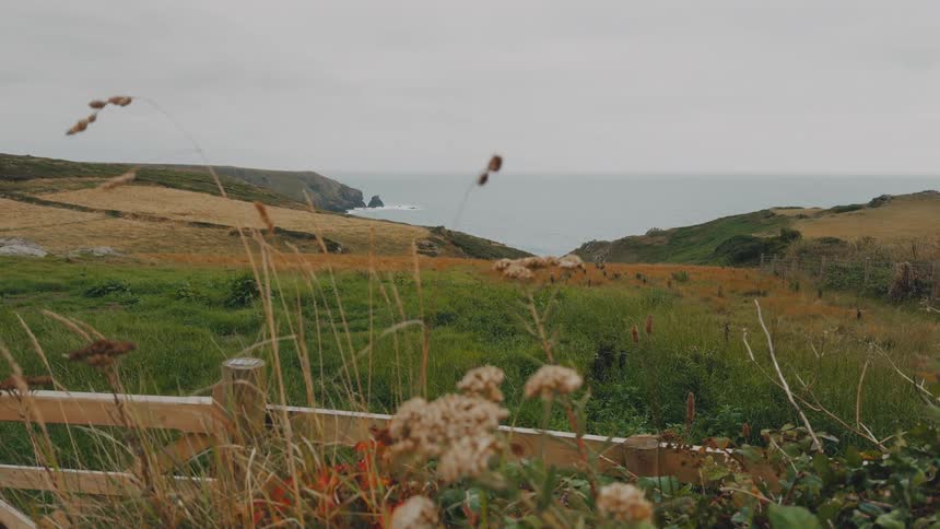 A green field by the Cornish shore line