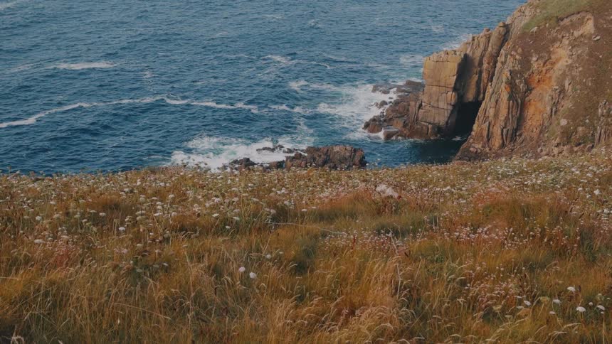 Gentle ocean waves roll against rugged Cornwall coastal cliffs beside a grassy seaside meadow
