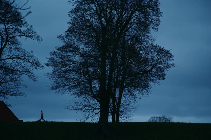 A distant silhouette shows a person jogging with a dog along a grassy ridge past large bare trees under a dark blue twilight sky