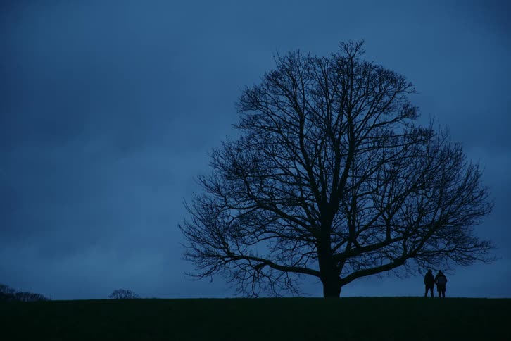Two people stand in silhouette on a grassy ridge next to a large leafless tree against a deep blue overcast twilight sky