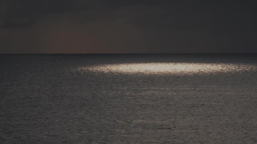 The bird flies over the ocean