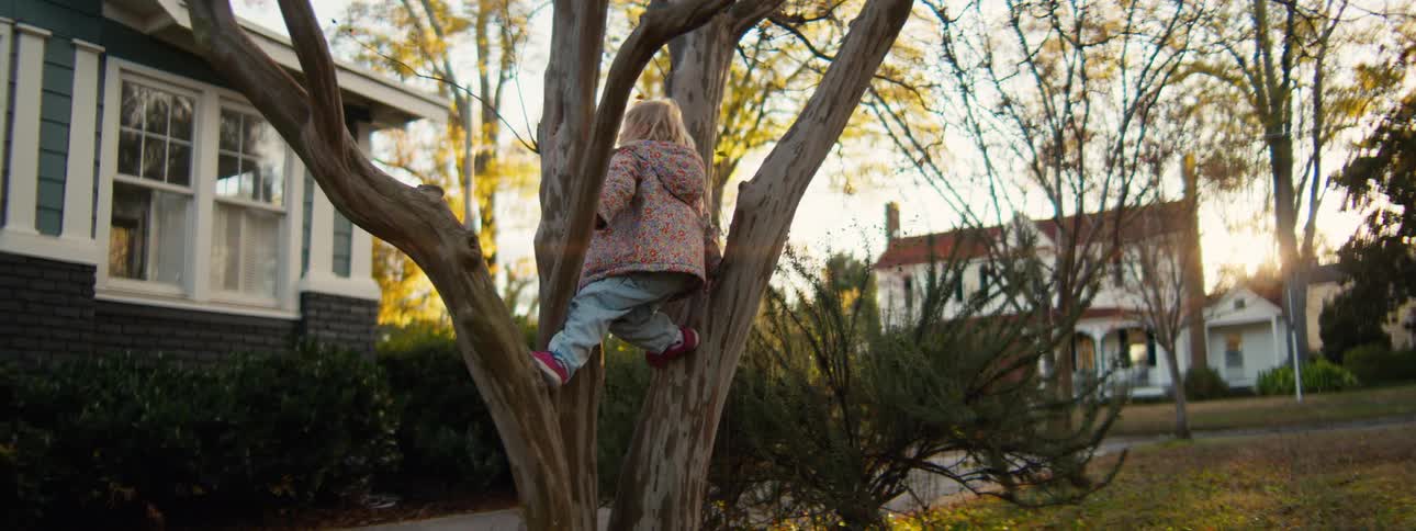 A child climbing up a tree outdoors