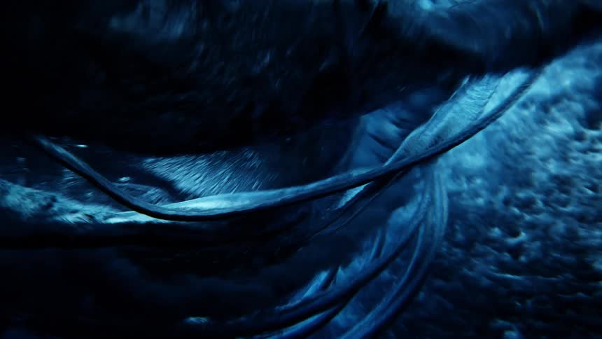 Wave flows overhead allowing light to shine through before the water returns to darkness