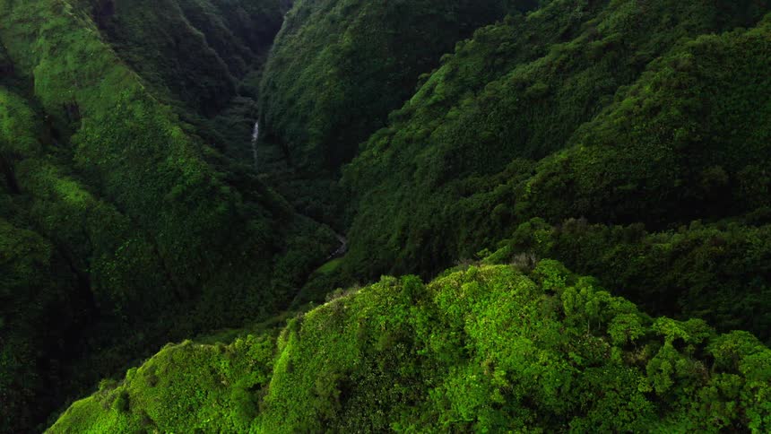 A mountain covered in green vegetation in the wild at midday