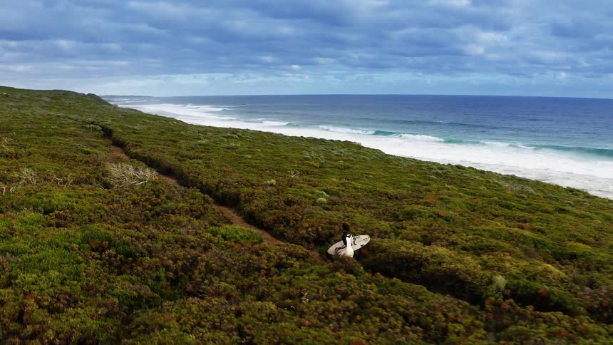Aerial view of a surfer running along a narrow trail through lush greenery beside the ocean