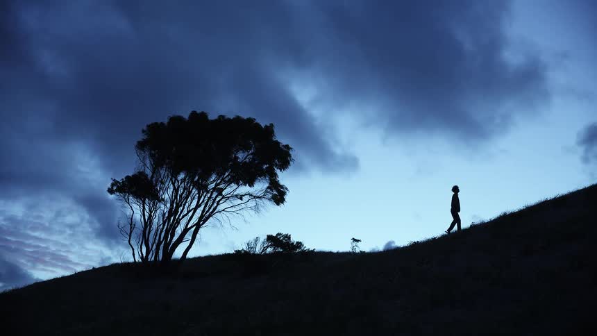 A person is silhouetted against a deep blue twilight sky as they walk up a grassy ridge they pass a solitary windswept tree before stopping to look out at the horizon