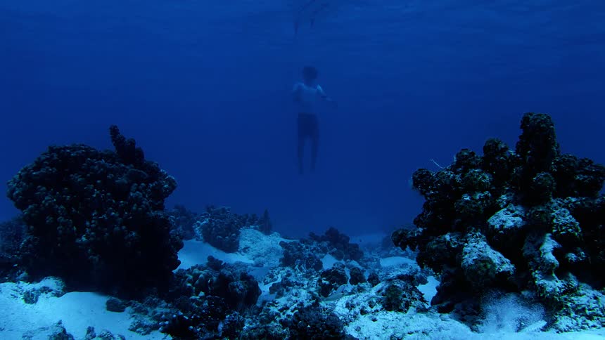 A lone swimmer moves underwater above a coral covered seabed in the deep blue ocean