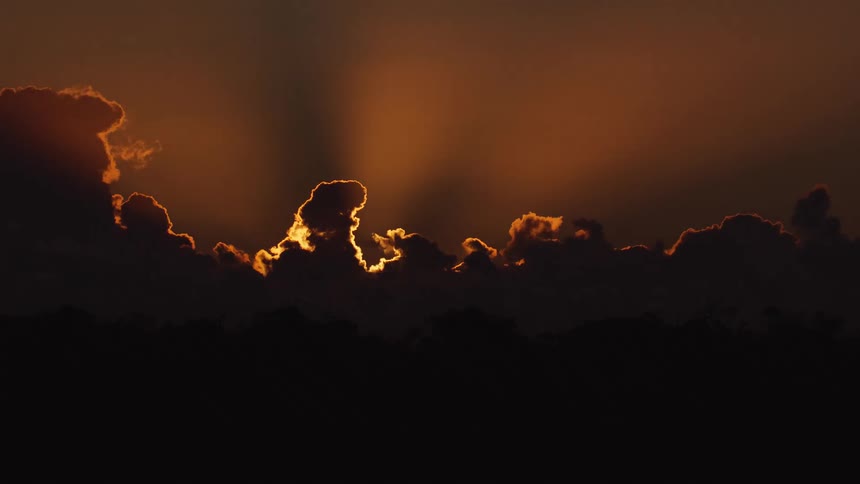 Low sun on the horizon partially obscured by dense clouds above a silhouetted tree line