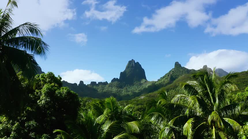 Aerial view of lush tropical mountains rising above dense green rainforest under a clear blue sky