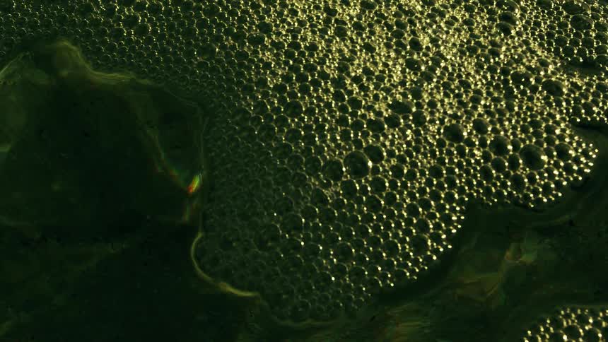 Greenish water with bubbles