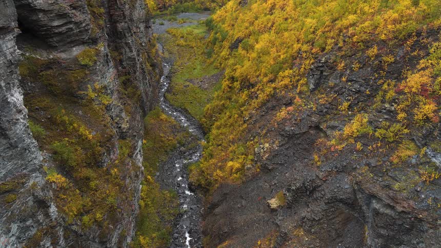Aerial view of a dry stream in a mountain canyon valley with trees in bright fall colors