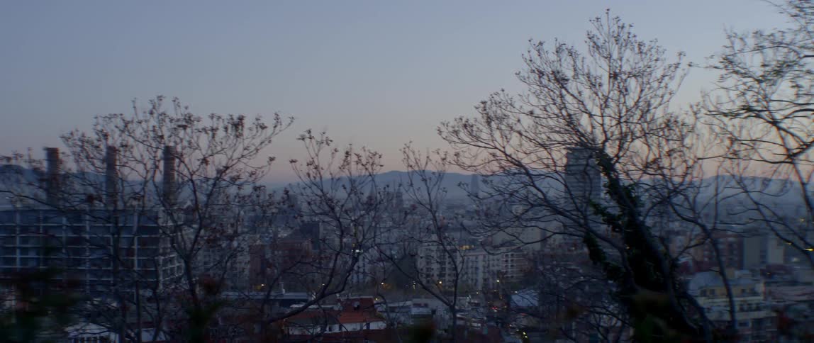 Trees in front of a city after dusk