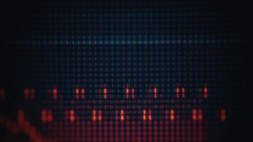 A close up of a digital retro screen