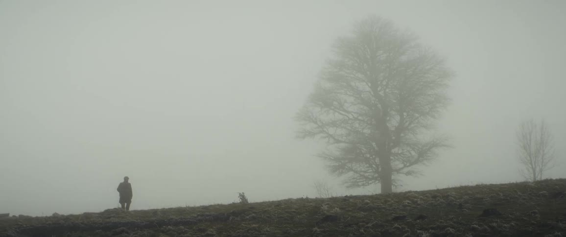 The man walks on the field full of fog