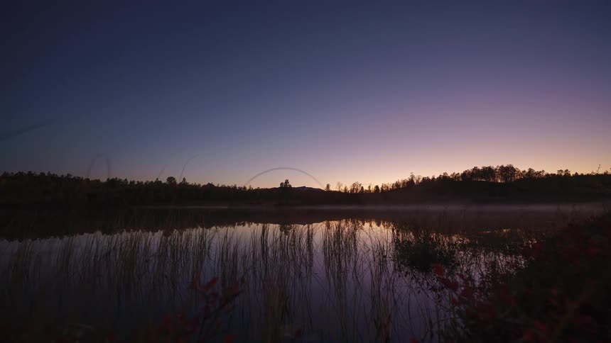 A timelapse captures the transition from a golden sunset to a starry night over a calm lake showing shifting purple hues in the sky and mist rising from the water behind reeds and autumn foliage in the foreground