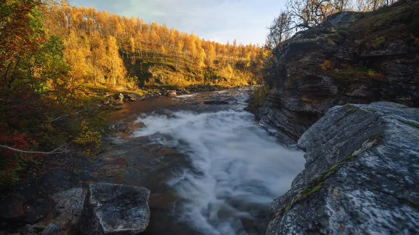 Water flows in a forested mountain valley river
