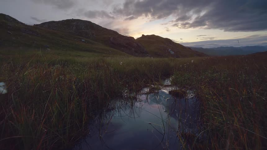 A view of a landscape with wetlands