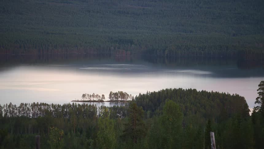 Ducks swim on a lake in the forest as clouds moving across the sky reflect on the water as season change